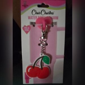 Cherry Water Bottle Charm